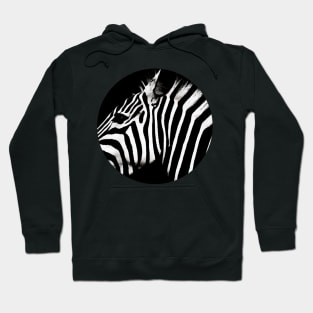 Zebra  - in a circle Hoodie